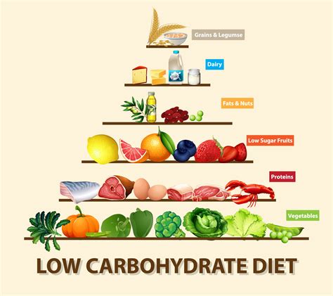 Low Carbohydrate Diet — Fad Or Fact The Body Firm
