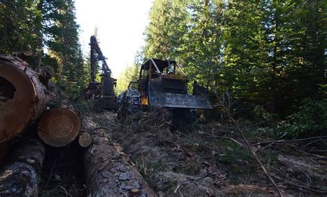 Rbm Lumber Forest And Logging Operations Mt