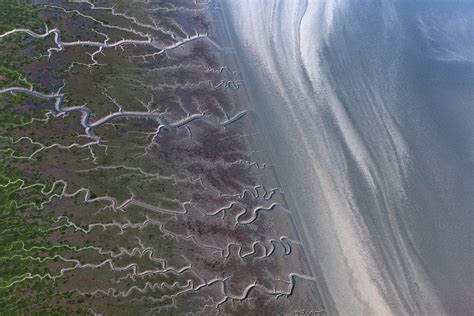 Tidal Channels At Low Tide Cook Inlet Photograph By Ingo Arndt