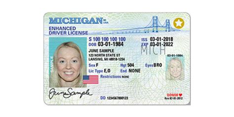 How To Renew Expired Drivers License In Pa Chipsfer