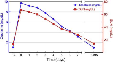 Graph Of Patients Serum Creatinine And Serum Urea Nitrogen Sun