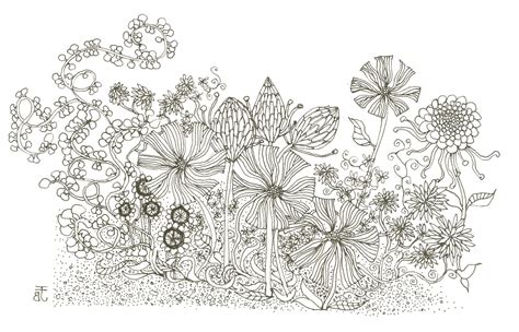 Flower Garden Sketch At Explore Collection Of