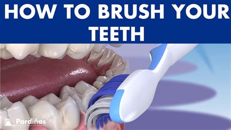 Use The Bass Brushing Technique To Dramatically Stop Gum Disease