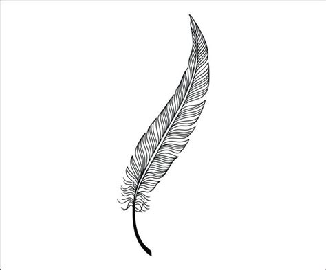 feather vector png 10 free Cliparts | Download images on Clipground 2021