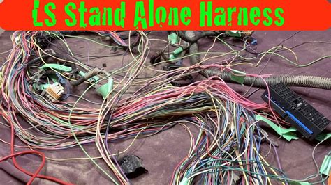 Stand Alone Ls Wiring Harness