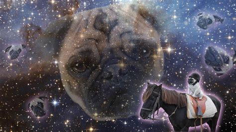 Pug On A Horse Photoshopbattles
