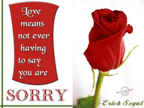 Apology Quotes Pictures and Apology Quotes Images with 
