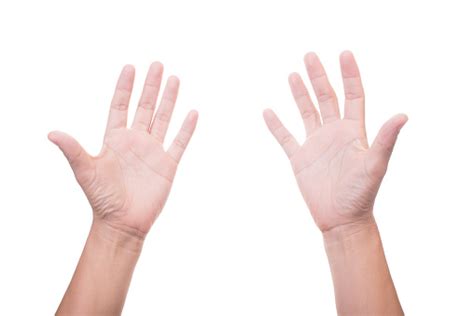 Two Female Hands Palms Up Isolated On White Background Stock Photo