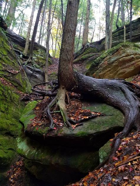 Unusual Formation In The Whispering Cave Section Of Hocking Hills State