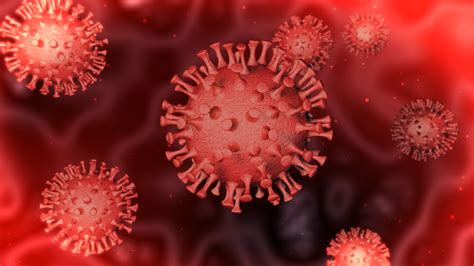 Coronavirus Animated C4d And Project File After Effect 3d Model