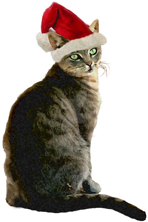 Christmas Cat With Santa Hat By Imagesbysasha On Deviantart