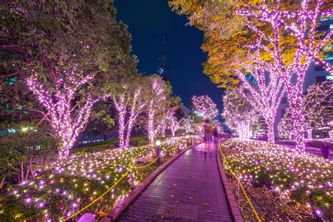 10 Incredible Illuminations And Light Displays In Tokyo Winter In