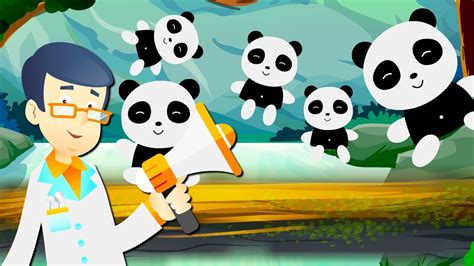 Five Little Pandas Jumping On The Bed Nursery Rhymes With Cartoon