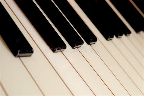 Jazz Piano Keys Imagem De Stock Imagem De Marfim Plano 32365737