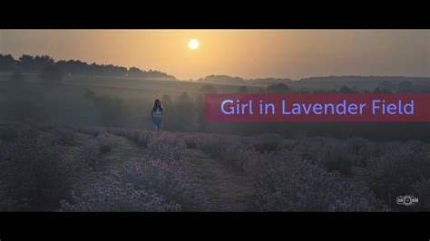 Girl In Lavender Field Youtube