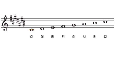 C Sharp Major Scale And Key Signature The Key Of C Major Akkoorden