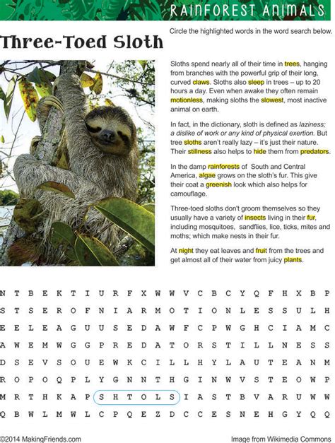 Sloth Facts Printable
