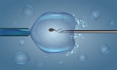 does sperm selection for icsi and for ivf explain the difference in outcomes