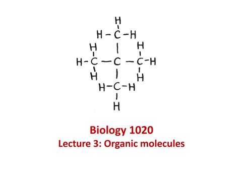 Lecture Notes Lecture 3 Organic Molecules Biology 1020 Lecture 3