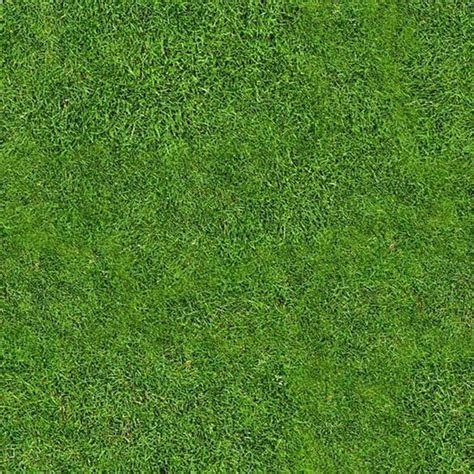 Free High Quality Tileable Seamless Grass Texture Free High Quality