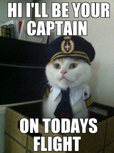 Captain Cat Cute Animals Cute Cats Cats
