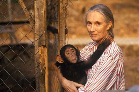 Jane Goodall The Conservation Activist Is Still Making A Difference In