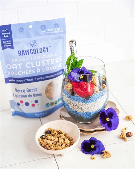 Granola Snack Bites With Probiotics Variety Pack Rawcology Inc