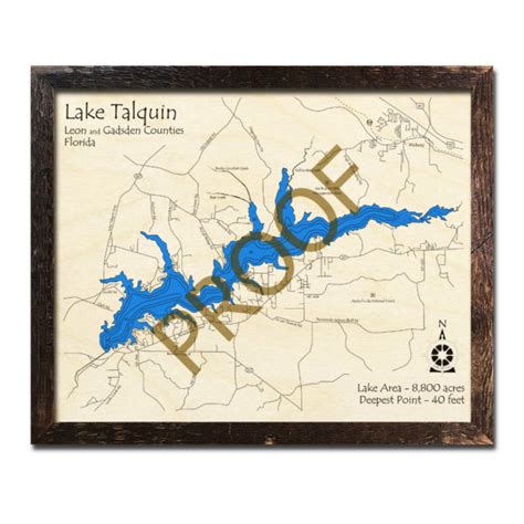 Lake Talquin Fl Wood Map 3d Topographic Wood Chart