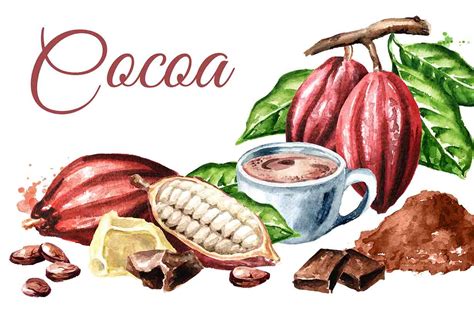 Cocoa Powder 101 Nutrition Facts And Health Benefits