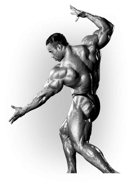 The Kevin Levrone Comeback Reality Or Fantasy Ironmag Bodybuilding Blog