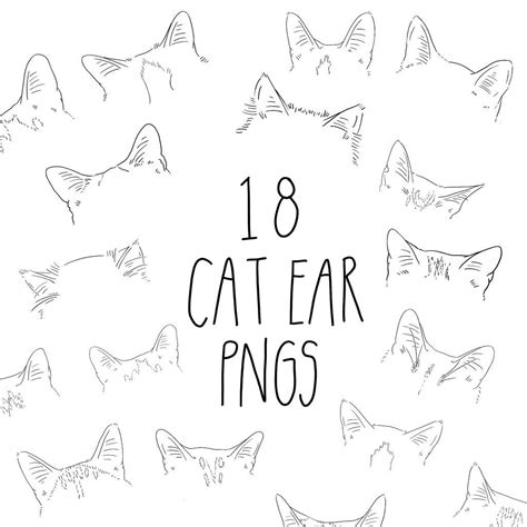 18 Cat Ear Line Drawing Clip Art And Stamps For Procreate Etsy Canada