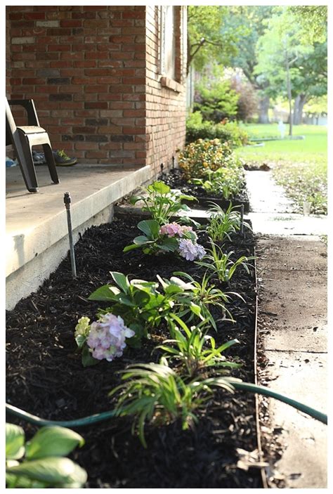 Front Yard Makeover With The Southern Living Plant Collection Run To