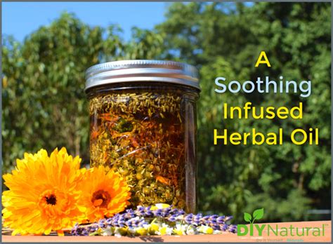 Herbal Oil The Ultimate Diy Skin Soothing Infused Herbal Oil