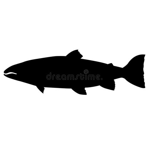 Atlantic Salmon Silhouette Stock Vector Illustration Of Meat 274496255