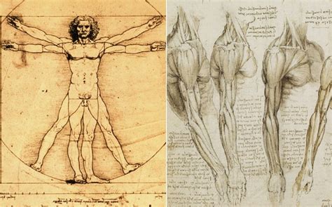 Leonardo Da Vinci History Of Leonardo