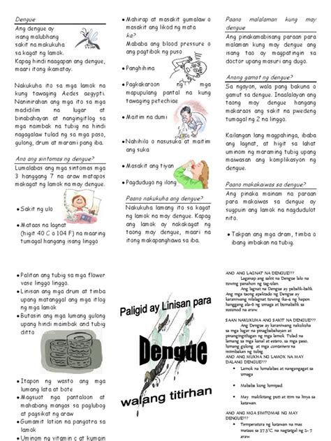 57409328 Dengue Pamphlet