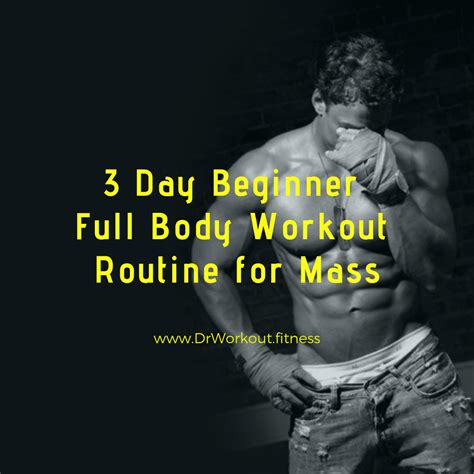 3 Day Beginner Workout Routine For Mass Drworkoutfitness
