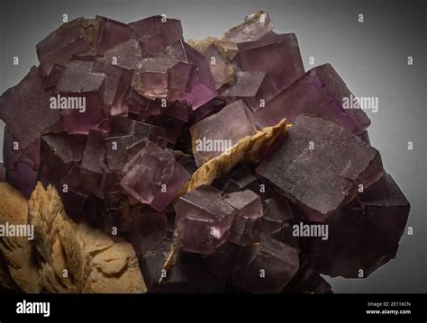 Violet Crystals Hi Res Stock Photography And Images Alamy