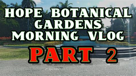 Hope Botanical Garden Vlog Part 2 Dec 20 2021 Youtube