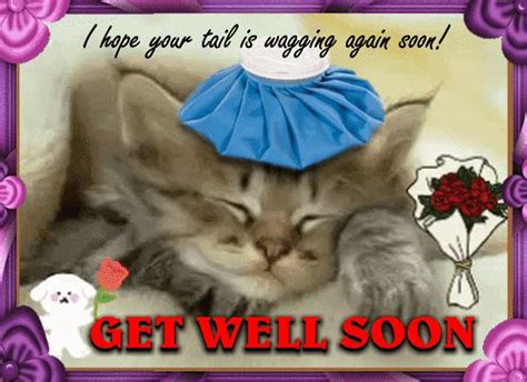 Pin By 123greetings Ecards On Everyday Cards Sick Pets Get Well Soon