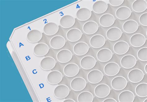 Well Plate Format | 96-Well | 384-Well |1536-Well Microplates