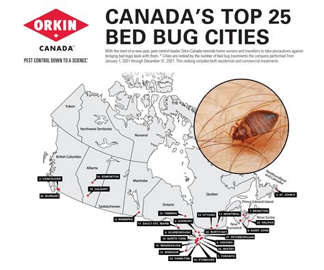 Canadas Top 25 Bed Bug Cities Of 2021 Orkin Canada