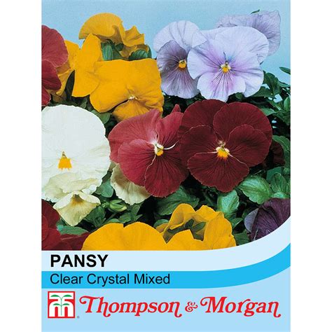 Pansy Clear Crystal Mixed Seeds Thompson And Morgan