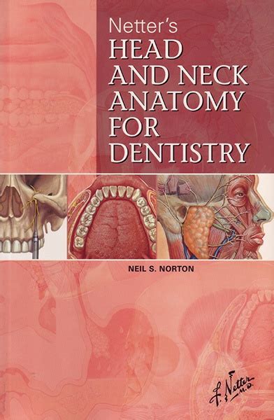 Netters Head And Neck Anatomy For Dentistry Year 2007 Edition