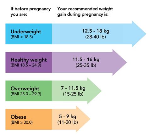 Weight Gain During Pregnancy Similacca