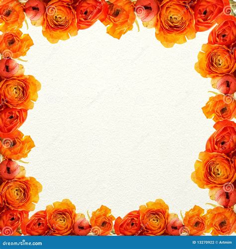 Orange Flowers And White Texture Background Stock Illustration