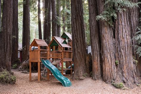 Santa Cruz Redwoods Rv Resort Park Spotlight Campspot Camp Guide