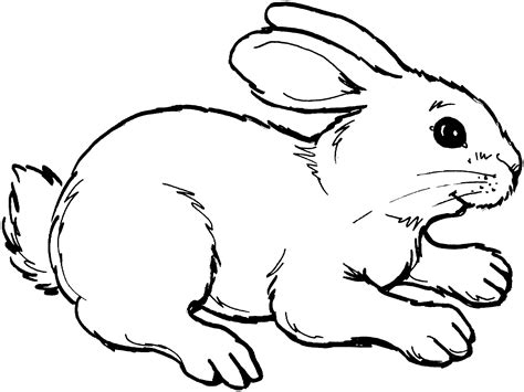 Free Arctic Hare Cliparts Download Free Clip Art Free