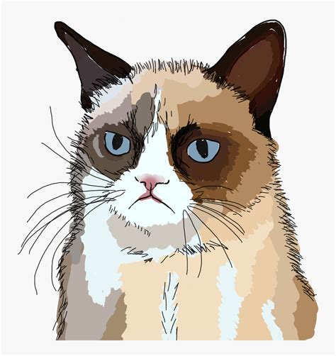 How To Draw Grumpy Cat Face