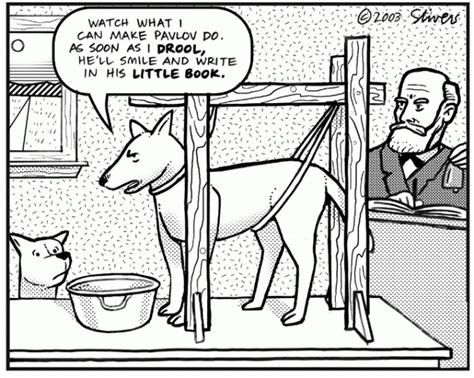 Whos Pavlovs Dog Now Pavlov With Images Psychology Jokes
